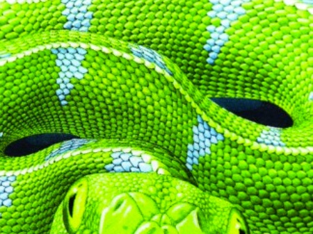 Glow-in-the-dark-print die oplicht in het donker