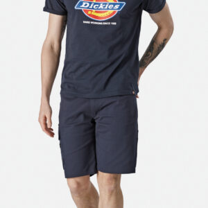 Heren-t-shirt DENISON (DT6010) - DK0A4XUD