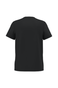 Ecologisch antibacterieel heren-T-shirt met V-hals – WK316